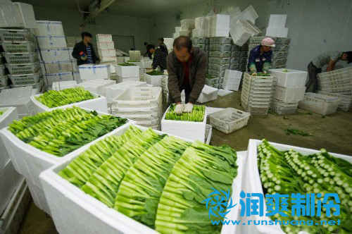 果蔬气调冷库