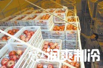 冷库